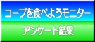 商品モニターアンケート結果